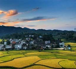 大悟县2016年新增粮食生产能力规划田间工程建设